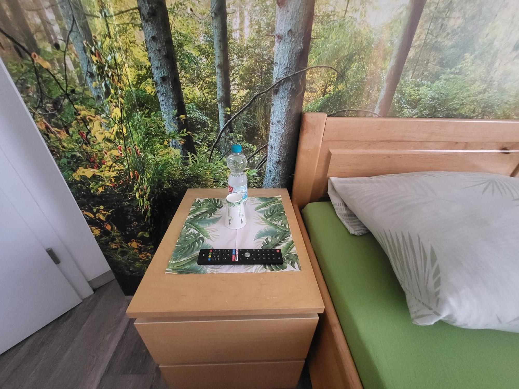 Seelze-Letter Monteurzimmer / Apartment / Messezimmer Номер фото